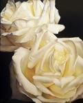 Картина маслом белые розы