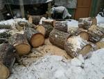 Спиливание, снос и валка деревьев в Орехово-Зуево
