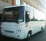 Автобус МАЗ 28 мест (Пассажирские перевозки)