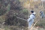 Расчистка земельного участка в Домодедово
