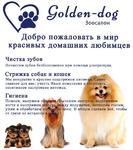 Золотой Пёс ( зоопарикмахерская)