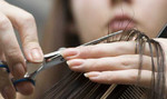 Обучение парикмахеров с нуля до профессии