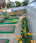 Клумбы для сада и огорода