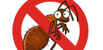 Уничтожение клопов, тараканов и муравьев