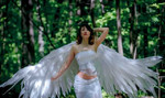 Крылья ангела белые аренда