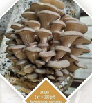 Доставка грибов