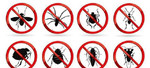 Уничтожение насекомых (тараканы, клопы и др.)