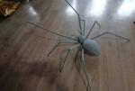 Декоративный паук из железа