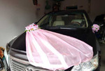 Свадебные Украшение для авто,прокат продажа