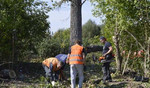 Расчистка Участков в Белгороде и области